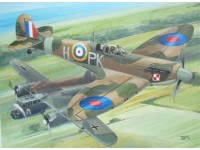 Supermarine Spitfire Mk.IIa "Aces"
