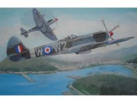 Supermarine Spitfire Mk.24