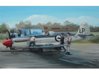 Supermarine Seafire Mk.45