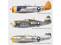 P-47 part 2