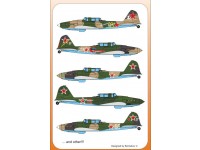 Ilyushin Il-2 (two seater)