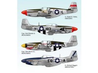P-51 Mustang, Part 2