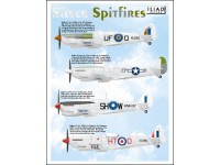 Silver Spitfires
