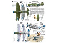 Realistic pin-up Jugs Thunderbolt P-47