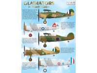 Gladiators in North Africa