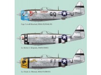 P-47 part 5