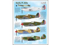 Early P-40s/Tomahawks