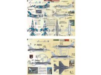 Venimous Vipers part 2. F-16  Indonesian & Italian AF
