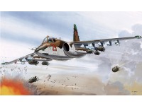Sukhoi Su-25K Frogfoot