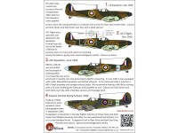 Spitfire Mk II; 1940 - 42 "The End of the Beginning"