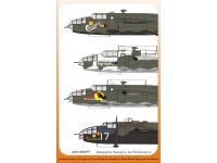 B-25 Mitchell "In the Russian Sky"