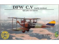 DFW C.V early