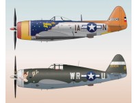 P-47 Best Selection Part 1