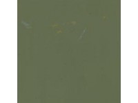 Fokker Pale Green