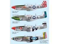 P-51 Mustang, Part 1