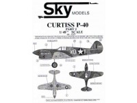 Curtiss P-40 part2