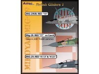 Polish Gliders Part 1