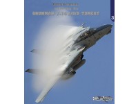 Uncovering the Grumman F-14 A / B & D
