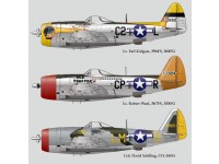P-47 part 4