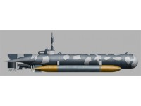 Mini U-Boot Molch